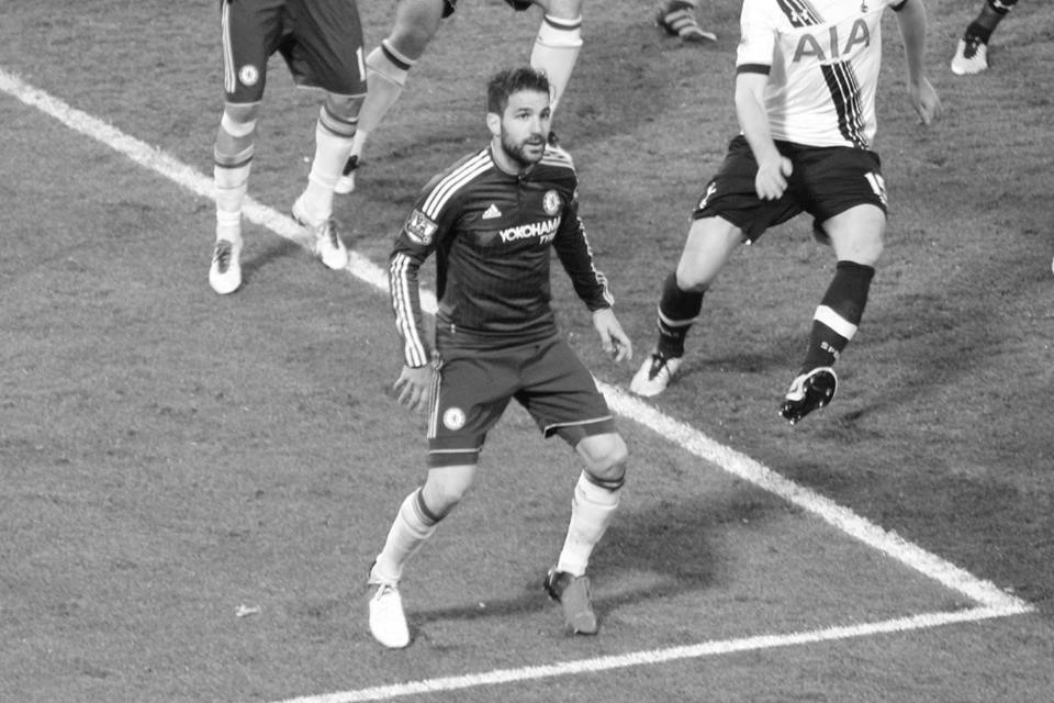 13124771_10154169877607658_8093033105244056855_n