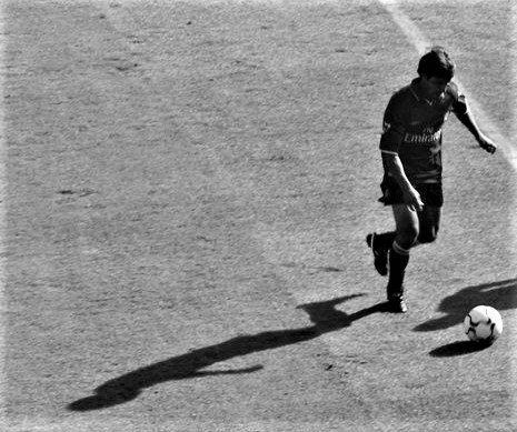 247209_10150253830822658_6877217_n